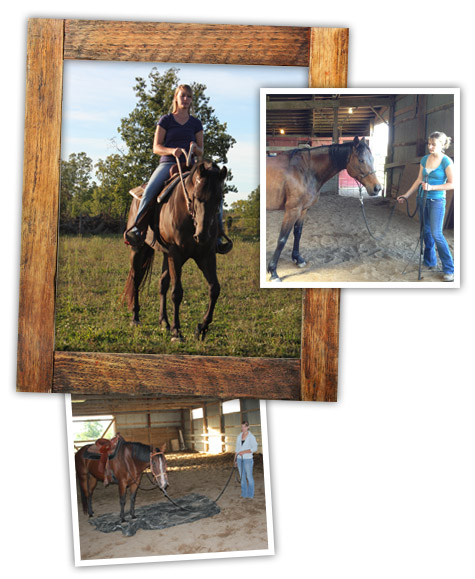 12ft long training line 4groundwork schooling horsemanship in hand ride and lead 